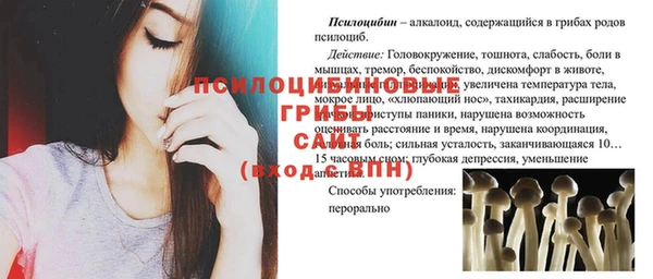 дживик Каменск-Шахтинский