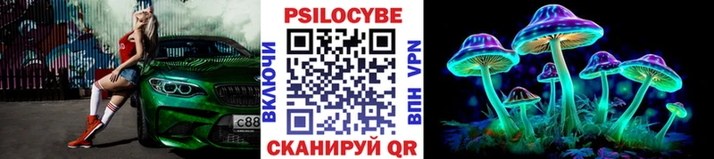 сколько стоит  Медвежьегорск  Псилоцибиновые грибы Magic Shrooms 